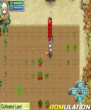 Rune Factory 4 for 3DS screenshot