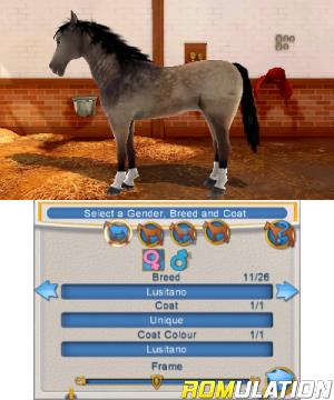 2in1 Horses 3D - My Foal 3D + My Riding Stables 3D - Rivals in the Saddle for 3DS screenshot