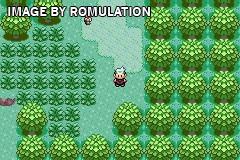 Pokemon - Sapphire Version for GBA screenshot