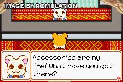 Hamtaro - Ham-Ham Heartbreak for GBA screenshot