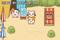 Hamtaro - Ham-Ham Heartbreak for GBA screenshot