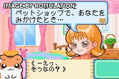 Hamster Club 4 for GBA screenshot