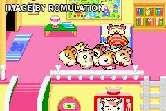 Hamtaro - Rainbow Rescue for GBA screenshot