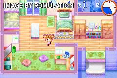 Petz Vet for GBA screenshot