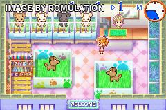 Petz Vet for GBA screenshot