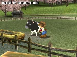 Harvest Moon A Wonderful Life for GameCube screenshot