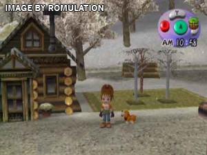 Harvest Moon Another Wonderful Life for GameCube screenshot