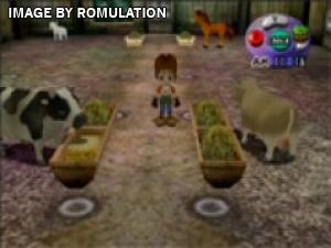 Harvest Moon Another Wonderful Life for GameCube screenshot