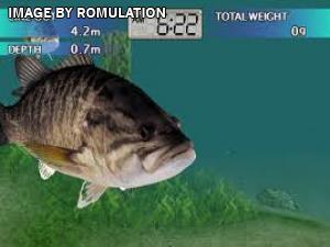 Top Angler for GameCube screenshot