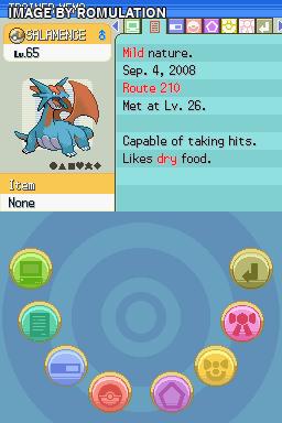 Pokemon Pearl  for NDS screenshot