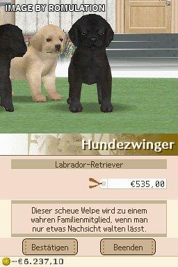 Nintendogs - Labrador & Friends  for NDS screenshot