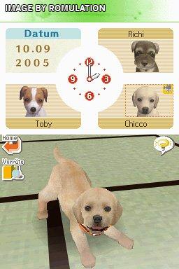 Nintendogs - Labrador & Friends  for NDS screenshot