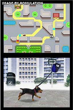 nintendogs rom cheats