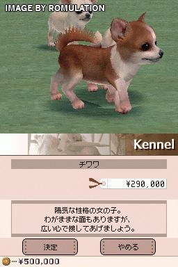 Nintendogs - Chihuahua & Friends  for NDS screenshot