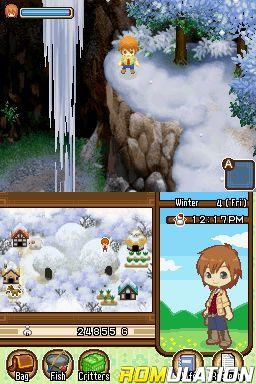 Harvest Moon DS - The Tale of Two Towns for NDS screenshot