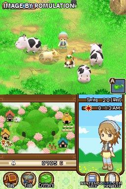 Harvest Moon DS - The Tale of Two Towns for NDS screenshot