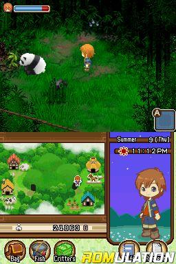 Harvest Moon DS - The Tale of Two Towns for NDS screenshot