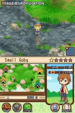 Harvest Moon DS - The Tale of Two Towns for NDS screenshot