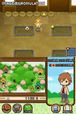 Harvest Moon DS - The Tale of Two Towns for NDS screenshot