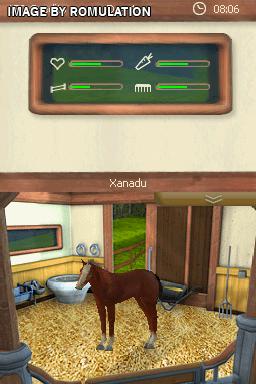 2 in 1 - My Pet School & My Horse for NDS screenshot