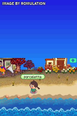 Animal Crossing - Wild World  for NDS screenshot