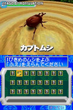 Kouchuu Kakutou - Mushi 1 Grand Prix  for NDS screenshot