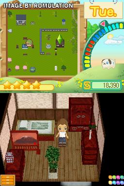 MySims Kingdom  for NDS screenshot