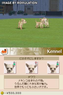 Nintendogs - Chihuahua & Friends  for NDS screenshot