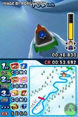 Mario & Sonic at the Olympic Winter Games  for NDS screenshot