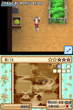 Harvest Moon DS - Grand Bazaar  for NDS screenshot