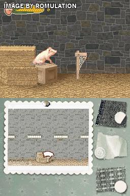 Charlotte's Web  for NDS screenshot