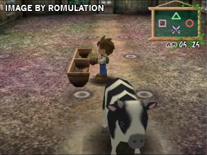 Harvest Moon - A Wonderful Life - Special Edition for PS2 screenshot