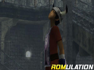 ICO and Shadow of the Colossus for PS3 screenshot