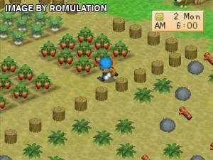 Harvest Moon - Back to Nature for PSX screenshot