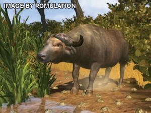 Cabela's Big Game Hunter for Wii screenshot