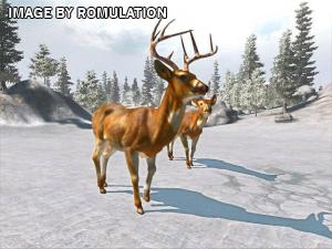 Cabela's Trophy Bucks for Wii screenshot