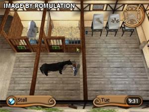 Gallop and Ride for Wii screenshot