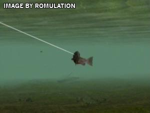 Reel Fishing - Angler's Dream for Wii screenshot