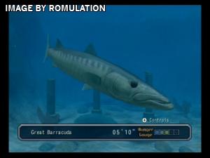 Reel Fishing - Angler's Dream for Wii screenshot