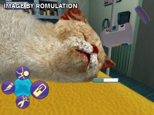 Pet Pals - Animal Doctor for Wii screenshot