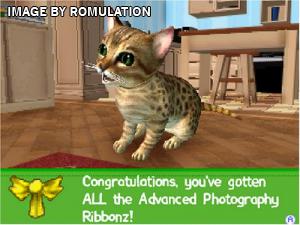 Petz Catz 2 for Wii screenshot
