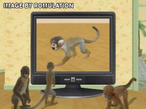Petz Crazy Monkeyz for Wii screenshot