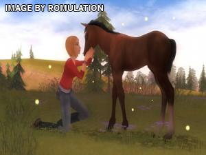 Petz Horsez Club for Wii screenshot