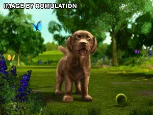 Petz Sports - Dog Playground for Wii screenshot