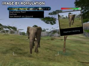 Wild Earth - African Safari for Wii screenshot