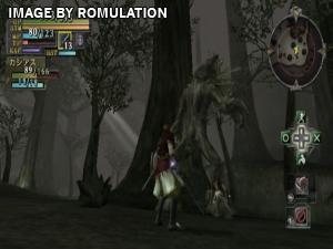 Valhalla Knights - Eldar Saga for Wii screenshot