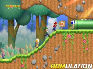 New Super Mario Bros for Wii screenshot