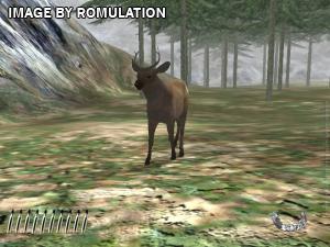 Canada Hunt for Wii screenshot