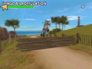 Horse Life Adventures for Wii screenshot